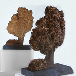 Burr Elm Tree 1 by Suzanne Hodgson